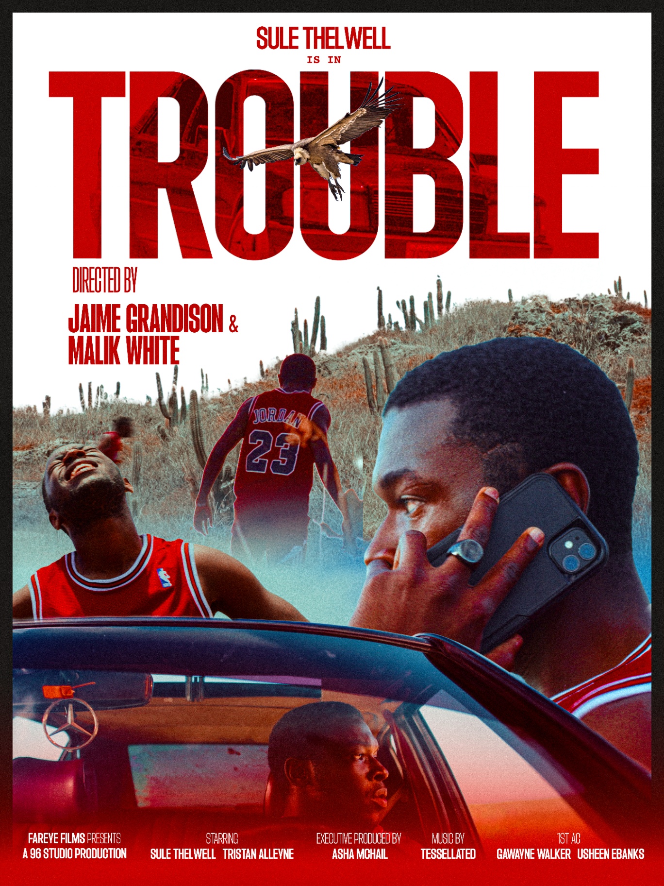 Trouble poster