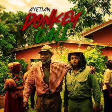 Donkey Call (Hill-Gully) by Ayetian music video cover