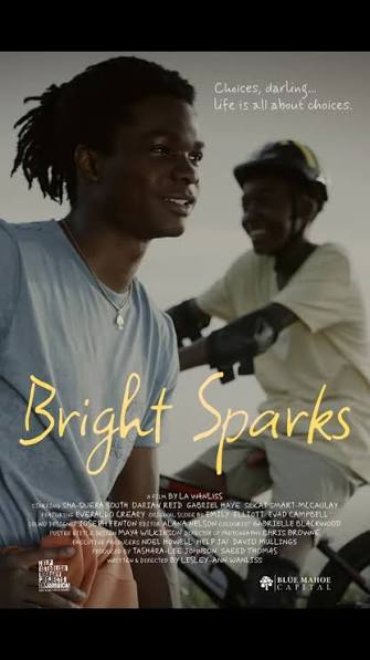 Bright Sparks poster